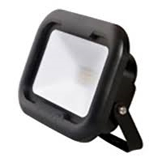 Picture of Robus Remy 10W LED Floodlight Black 4000K