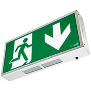 Picture for category Emergency Lighting