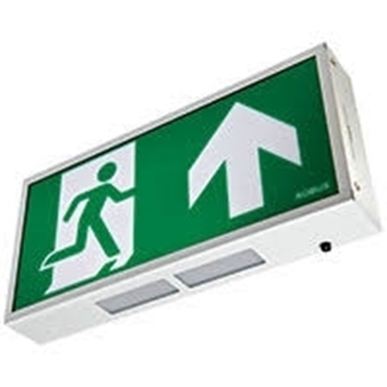 Picture of EXIT BOX 3W LED maintained, IP20, 390mm, White