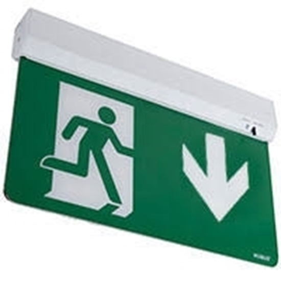 Picture of SWISS 1.5W Maintained Emergency Exit Blade Light, Standard, with multiple mounting options, DOWN