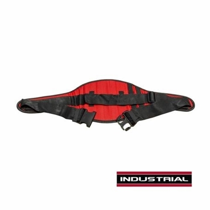 Picture of Tundra Waist Belt TUNAWH-S17