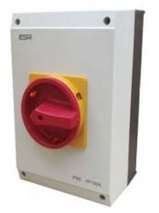 Picture of ESR AC Isolator 80A 4 Pole