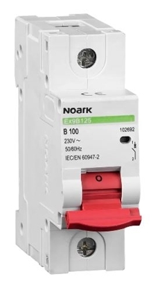 Picture of Miniature Circuit Breaker Ex9B125 1P B100A