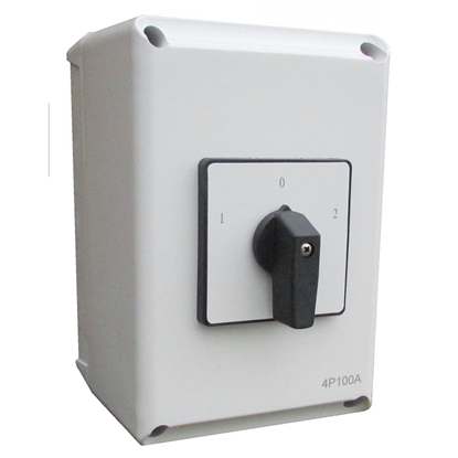 Picture of ESR 100A 4 Pole Surface Mounted Changeover Switch