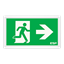 Picture of ESPi 3W LED Emergency Surface Slimline Exit Box